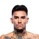 Andre Fili