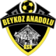 Beykoz Anadoluspor