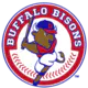 Buffalo Bisons