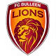 Bulleen Lions (f)