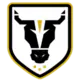 Bulls FC Academy (f)