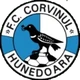 CS Corvinul Hunedoara