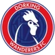 Dorking Wanderers FC