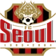FC Seoul (virtual_15)