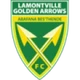 Golden Arrows