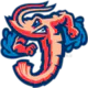 Jacksonville Jumbo Shrimp