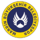 Mardinspor