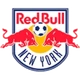 NY Red Bulls