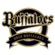 Orix Buffaloes