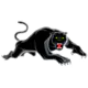 Penrith Panthers