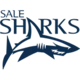 Sale Sharks