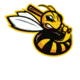 Salt Lake Bees