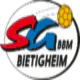 SG BBM Bietigheim
