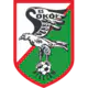Sokol Kleczew