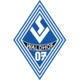 SV Waldhof Mannheim