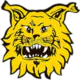 Tampereen Ilves II
