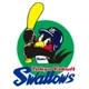 Tokyo Yakult Swallows