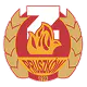 Znicz Pruszkow